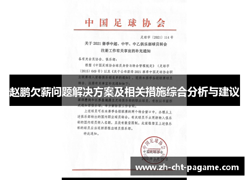 赵鹏欠薪问题解决方案及相关措施综合分析与建议 赵鹏欠薪问题解决方案及相关措施综合分析与建议