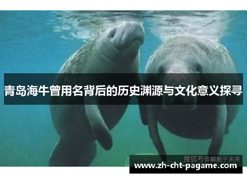 青岛海牛曾用名背后的历史渊源与文化意义探寻 青岛海牛曾用名背后的历史渊源与文化意义探寻